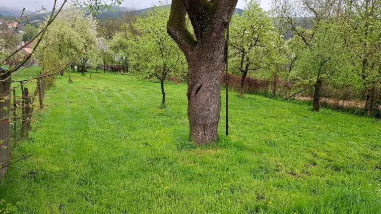 Na predaj stavebný pozemok v obci Hradište pod Vrátnom (okr.