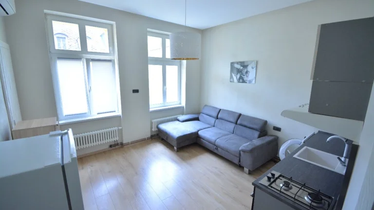 1+kk NÁJEM Karlovy Vary ul. Raisova