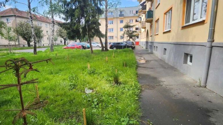 Slnečný 2-izbový byt s výbornou polohou