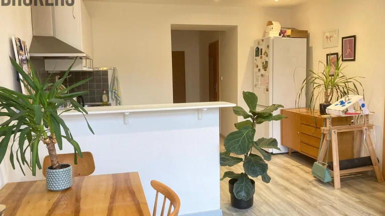 Pronájem 2kk, 55 m2, Plzeňská, Praha 5, Košíře