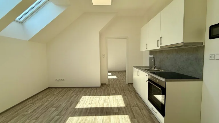 Pronájem ubytovací jednotky 31 m2 areál Stará Pošta, Rajhrad