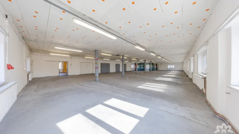 Pronájem průmyslového prostoru, 391 m², Uherský Brod