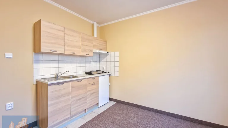 Dlouhodobý pronájem bytu 1+kk (22,5 m2) s parkovacím stáním,