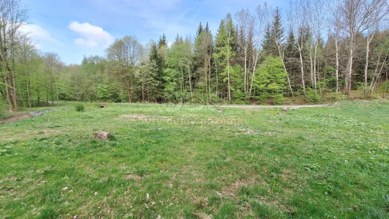 Prodej pozemku k bydlení, 1078 m², Vidče