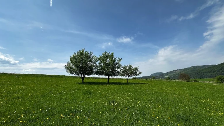 Predám investičný pozemok v obci Dolná Tižina 840m2