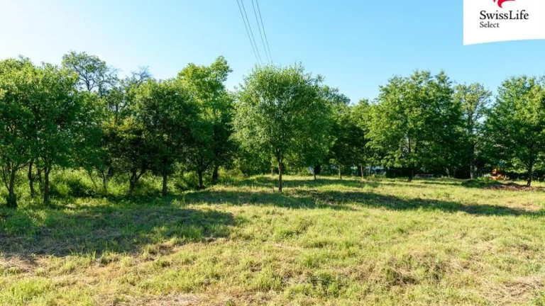 Prodej zahrady 1690 m2, Slezské Rudoltice