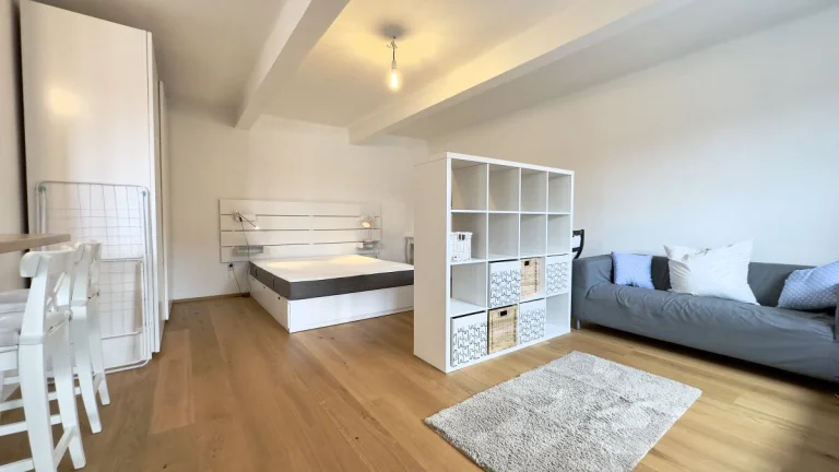 Pronájem bytu 1+1, Ambrožova, Žižkov, 20300 Kč/měs, 40 m2