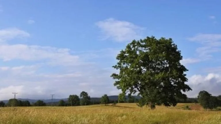 Zemědělské pozemky
