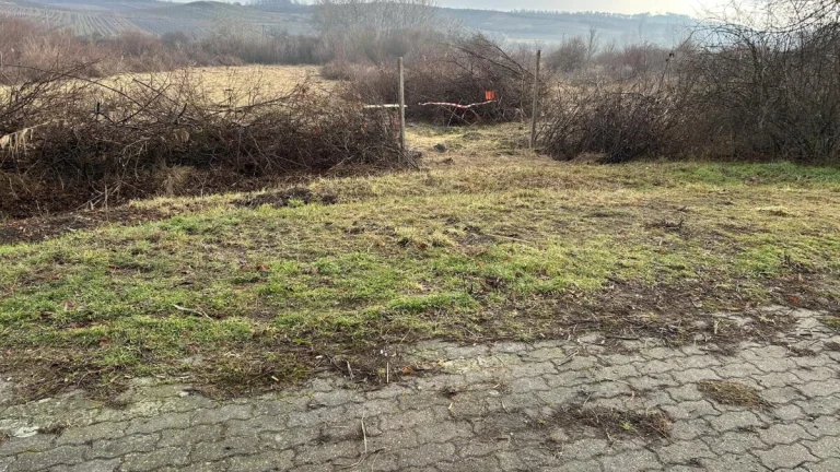 Pozemek v obci Bavory na PRODEJ