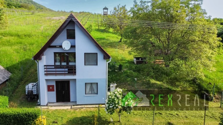 Predaj vínneho domčeka s vinicou a ovocným sadom, Seľany.