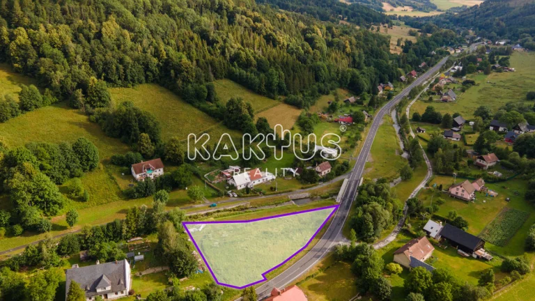 Prodej stavebního pozemku 2.693 m2, Holčovice- Hejnov, okres