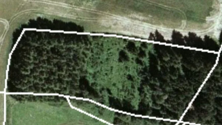 Lesní pozemek