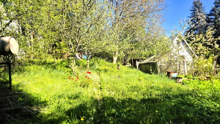 Predaj// záhrada nad kúpaliskom Handlová// 501 m²