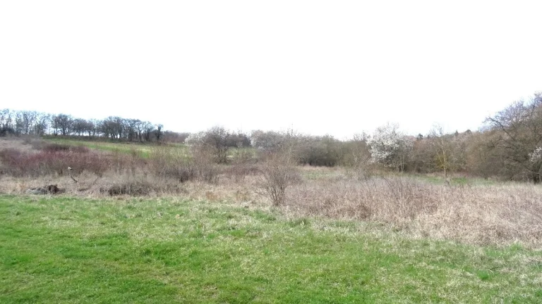 Pronájem hezkého pozemku 4859 m2 - louky, Svinařov - Smečno,