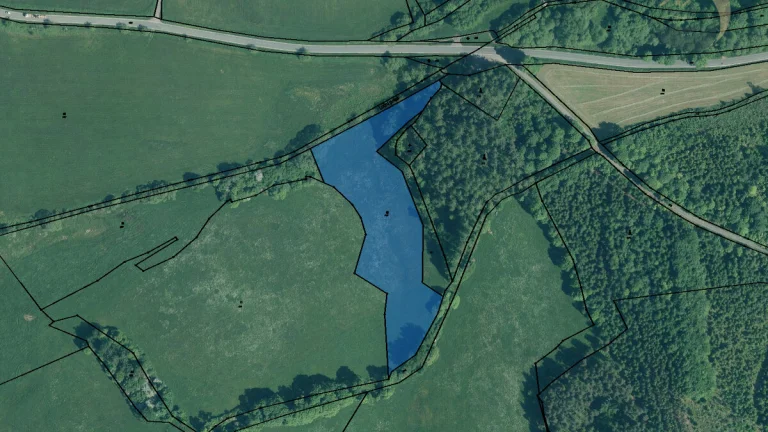 Prodej zemědělského pozemku na Šumavě – 11 837 m² u Hartmani