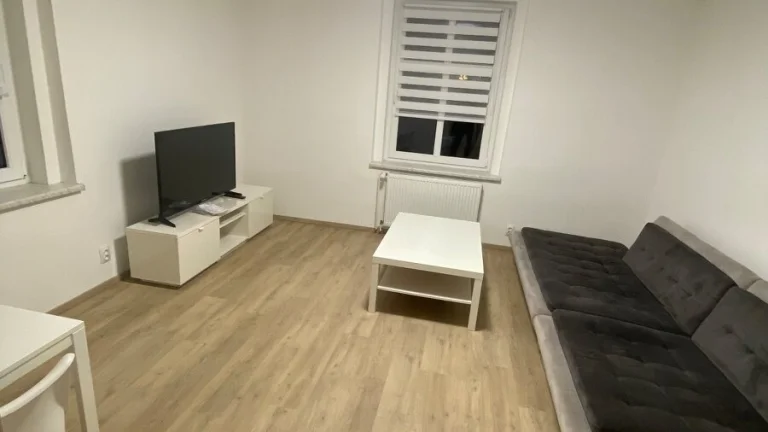 Vybavený byt 2+1 k pronájmu