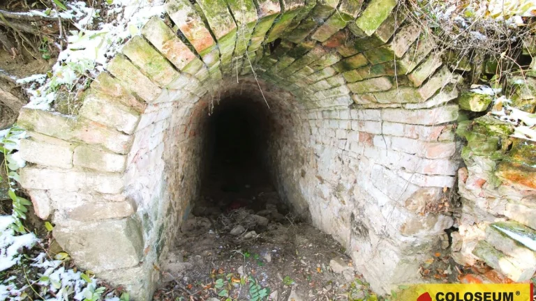 Litobratřice, komerce, vinný sklep, k rekonstrukci - vinný s