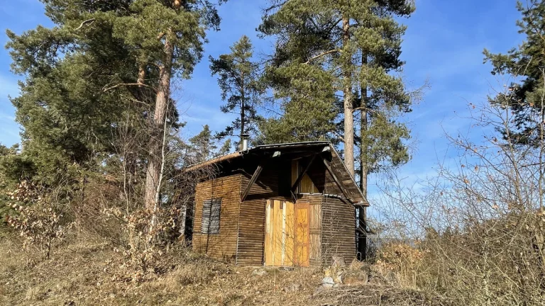 Šumava, pozemek 220 m2 s trampskou chatkou -glamping