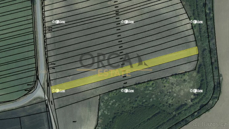 Prodej zemědělského pozemku Čejkovice, 3381 m2