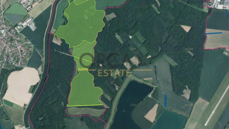prodej singulárních lesů, příslušná výměra 58 008 m2