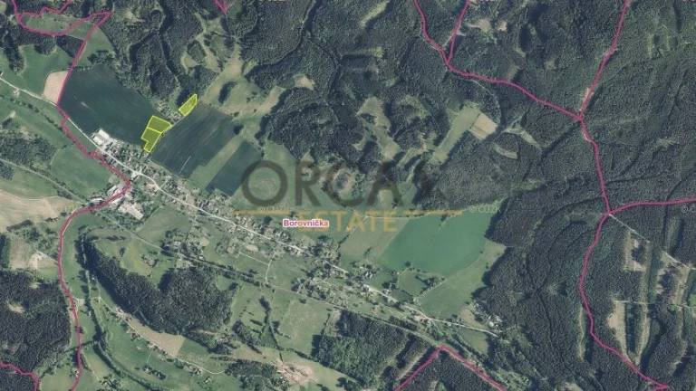 1,2 ha pozemků v k.ú. Borovnička