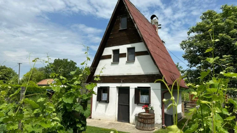 NA PREDAJ RODINNÉ VINÁRSTVO S KOMPLETNÝM ZARIADENÍM A VINICO
