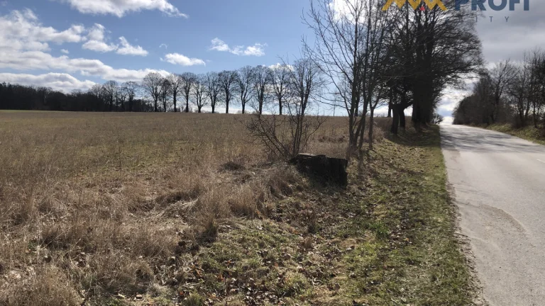 pozemok na predaj: 10 000 m², možnosť zmeny využitia, Turčia