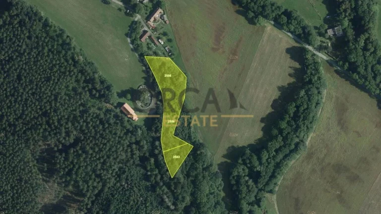 0,7 ha lesních pozemků v k.ú. Doly