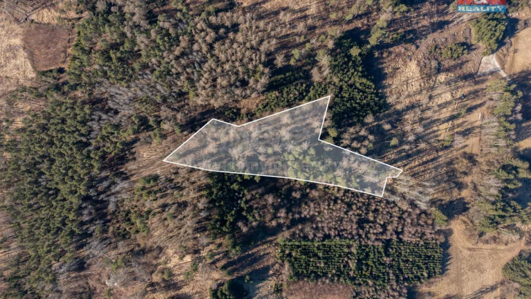 Prodej lesa, 7371 m², Mileč, okres Plzeň-jih