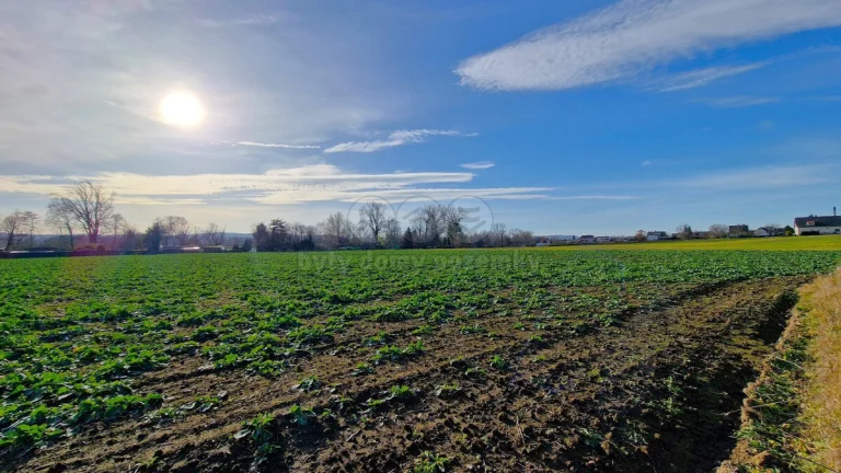 Prodej pozemku k bydlení, 4203 m², Opava - Kylešovice