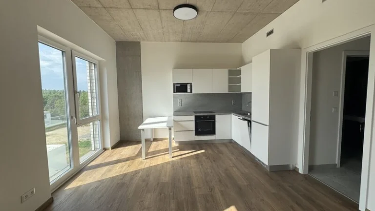 Prodej bytu 2+kk, 46 m2, Brno - Horní Heršpice
