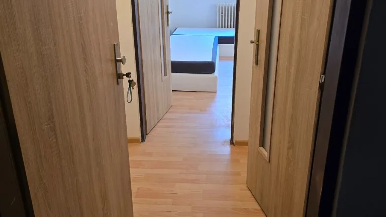 Pronajem garsoniéry v Aši