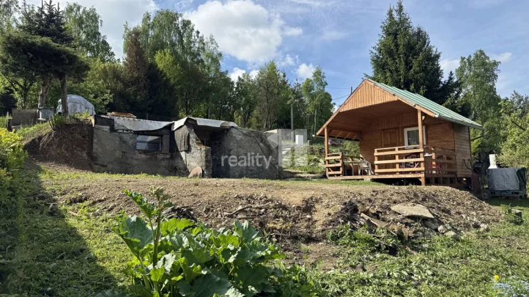 Prodej pozemek 302 m2, chatka 16 m2, sklep 18 m2 - Líšný u M
