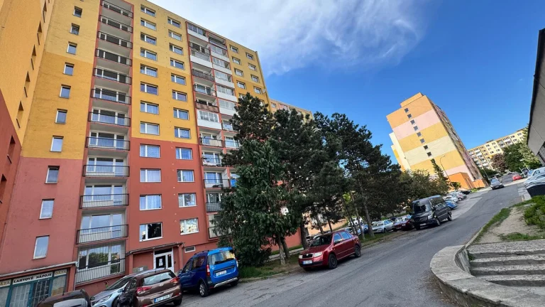Prodej, byt 1+1, 42 m2, Chomutov, Holešická ul.