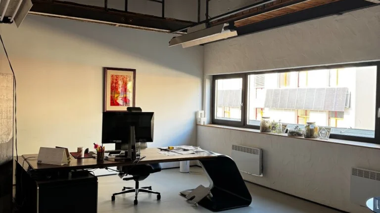 Pronájem nebytového prostoru 40 m² v industriálním stylu