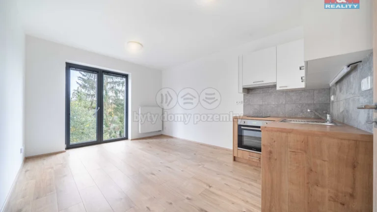 Pronájem bytu 1+kk, 32 m², Třemošná, ul. Školní