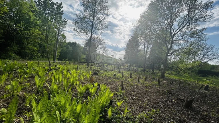 Prodej pozemku k bydlení, 830 m², Orlová, ul. Bezručova