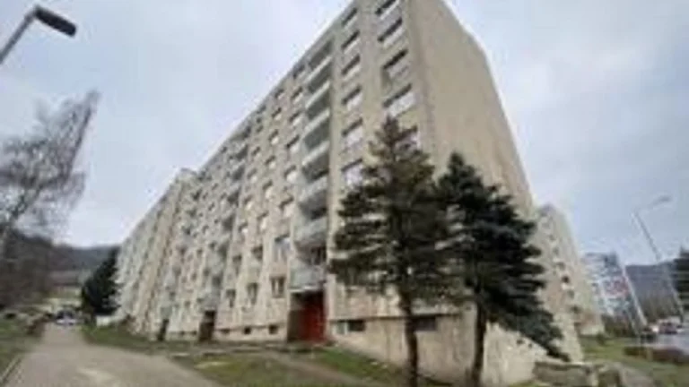 Prodej 1/2 bytu Mojžíř