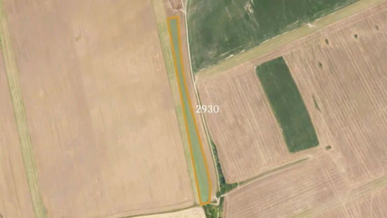 Zemědělská půda, prodej, Střížovice, Plzeň jih