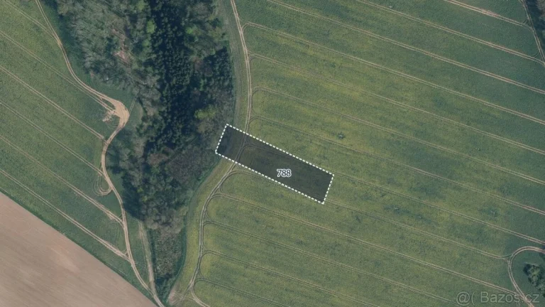 Zemědělská půda, prodej, Mělnické Vtelno, Mělník