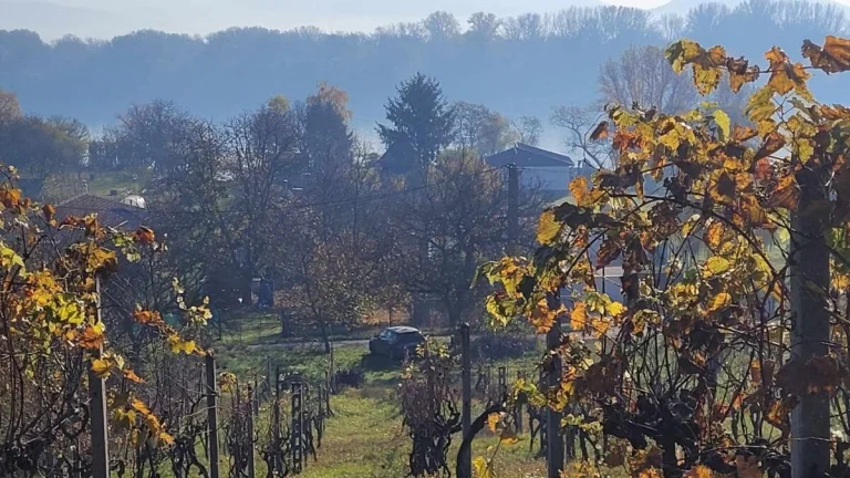 Ponúkame na predaj pozemok na Božom kopci v Štúrove.