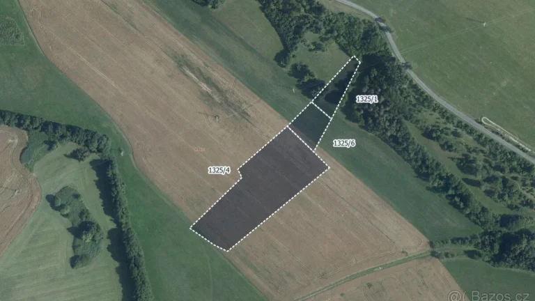 Zemědělská půda, prodej, Skuteč, Chrudim