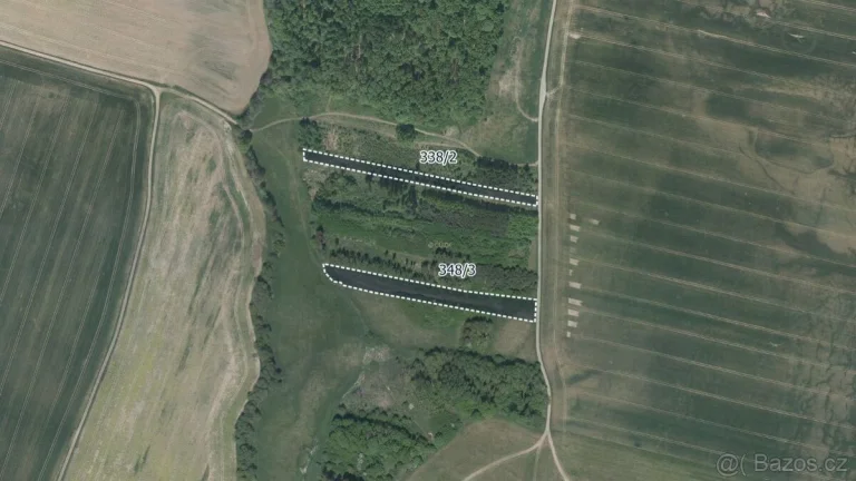 Louka, prodej, Lázně Bělohrad, Jičín