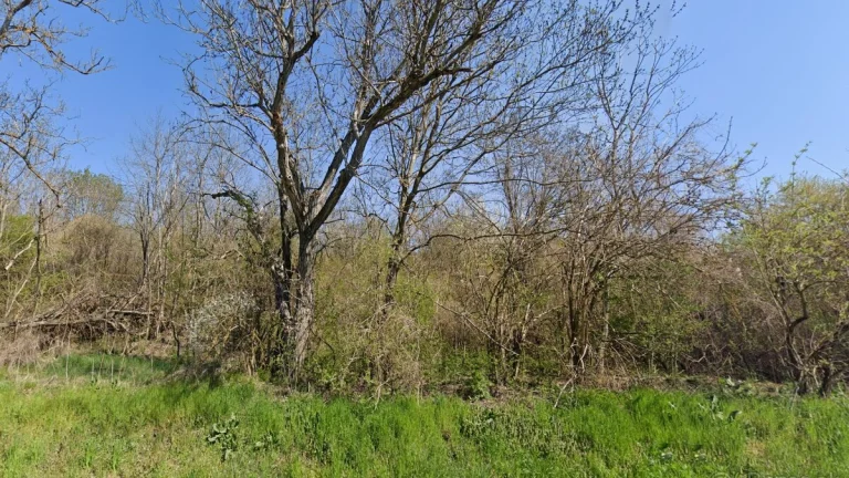 Na predaj pozemok Malý Kiar - v blízkosti kúpaliska Margita