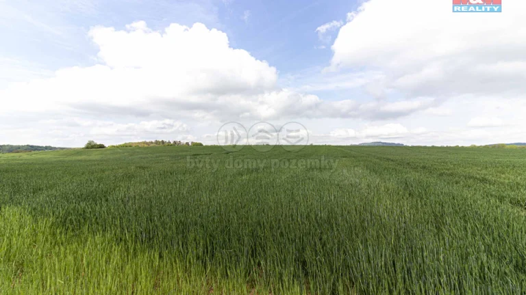 Prodej pole, 10902 m², Miskovice