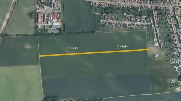 Zemědělská půda, prodej, Prušánky, Hodonín
