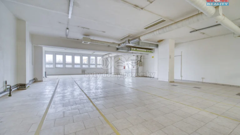 Pronájem obchod a služby, 200 m², Plzeň, ul. Skupova
