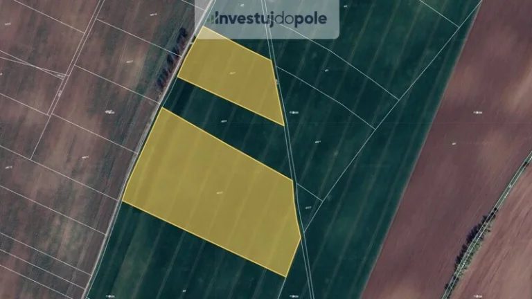 Prodej pole v k.ú. Veleň