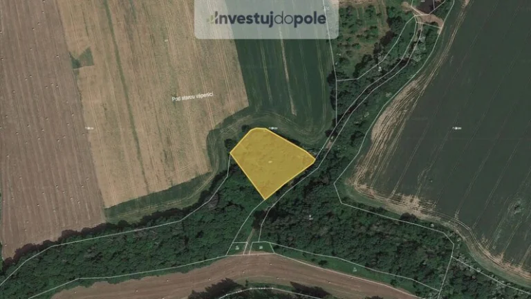 Prodej pozemku v k.ú. Lobeč u Mšena