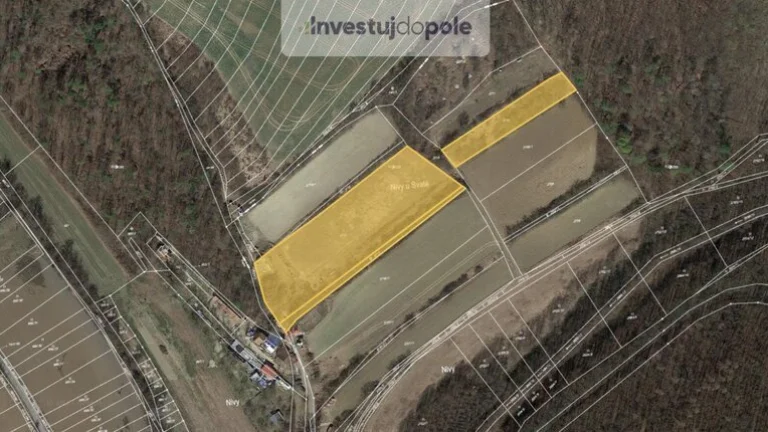 Prodej pole v k.ú. Ždánice